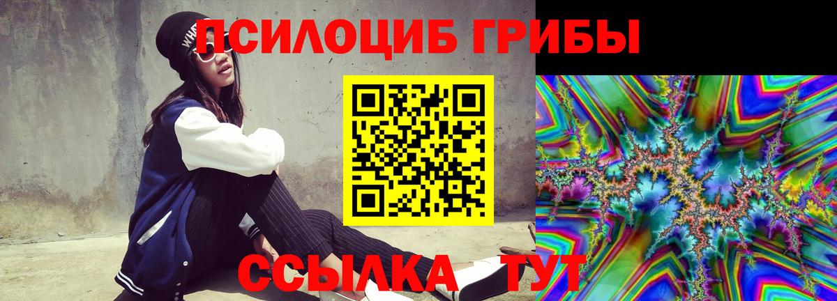 Псилоцибиновые грибы Magic Shrooms Карталы