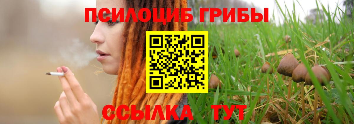 Псилоцибиновые грибы Psilocybine cubensis  Галлюциногенные грибы прущие грибы  Вход с VPN  Карталы 